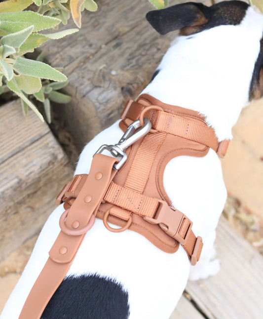 Kit de Paseo Marrón Chocolate