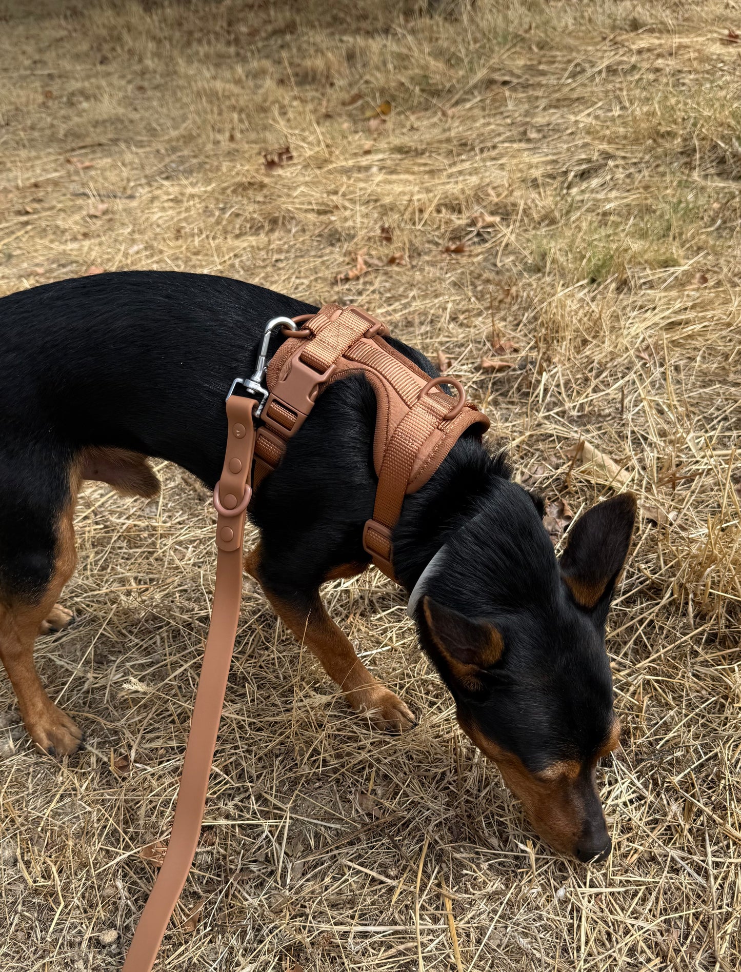 Kit de Paseo Marrón Chocolate