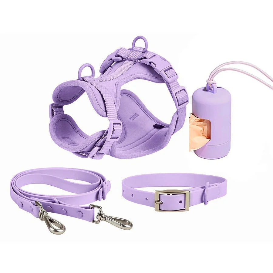 Kit de Paseo Morado Açaí