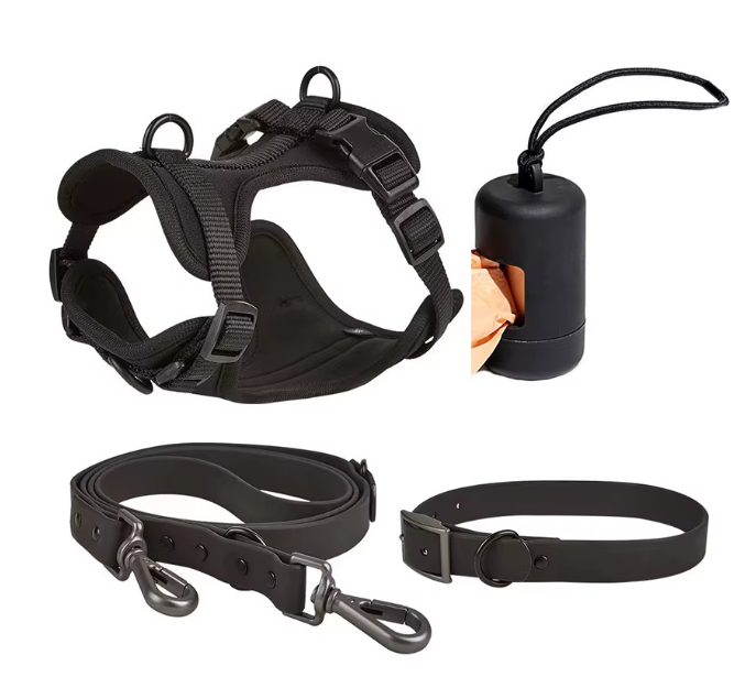 Walking Kit – Comfort and Control on Every Walk