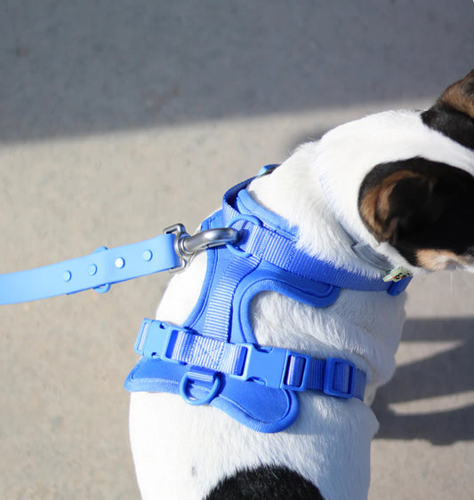 Kit de Paseo Azul Cielo