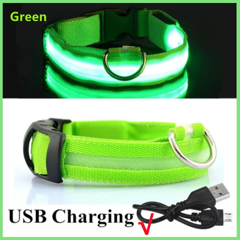 Glowing Pet Collar USB Rechargeable – Safety & Style for Nighttime Adventures