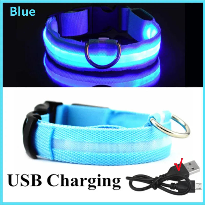 Glowing Pet Collar USB Rechargeable – Safety & Style for Nighttime Adventures