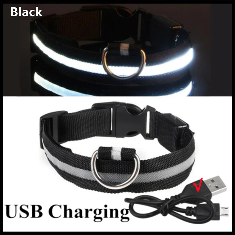 Glowing Pet Collar USB Rechargeable – Safety & Style for Nighttime Adventures