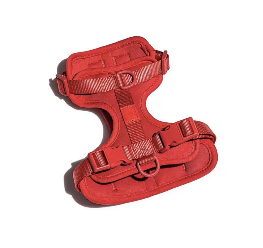 Walking Kit – Comfort and Control on Every Walk