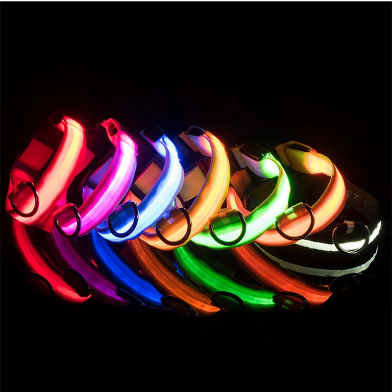 Glowing Pet Collar USB Rechargeable – Safety & Style for Nighttime Adventures