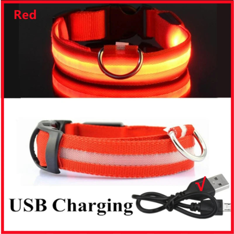Glowing Pet Collar USB Rechargeable – Safety & Style for Nighttime Adventures
