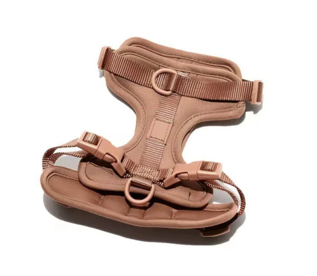 Walking Kit – Comfort and Control on Every Walk