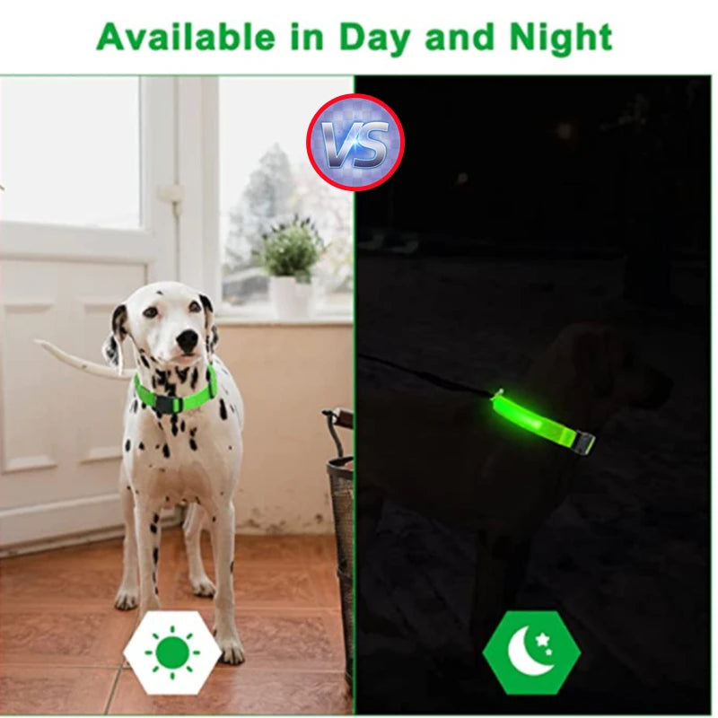 Glowing Pet Collar USB Rechargeable – Safety & Style for Nighttime Adventures
