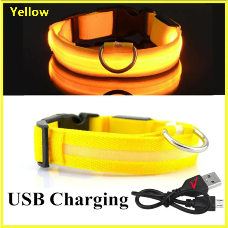 Glowing Pet Collar USB Rechargeable – Safety & Style for Nighttime Adventures