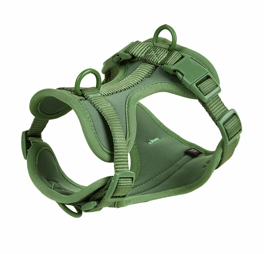 Walking Kit – Comfort and Control on Every Walk