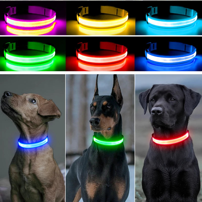 Glowing Pet Collar USB Rechargeable – Safety & Style for Nighttime Adventures