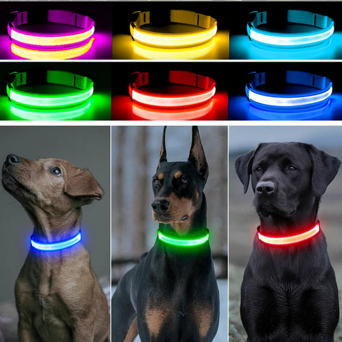 Glowing Pet Collar USB Rechargeable – Safety & Style for Nighttime Adventures