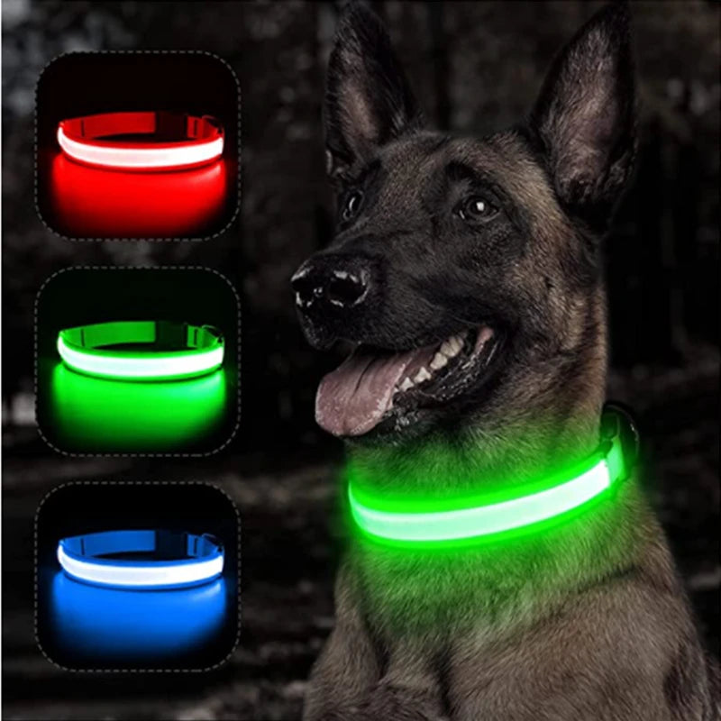 Glowing Pet Collar USB Rechargeable – Safety & Style for Nighttime Adventures