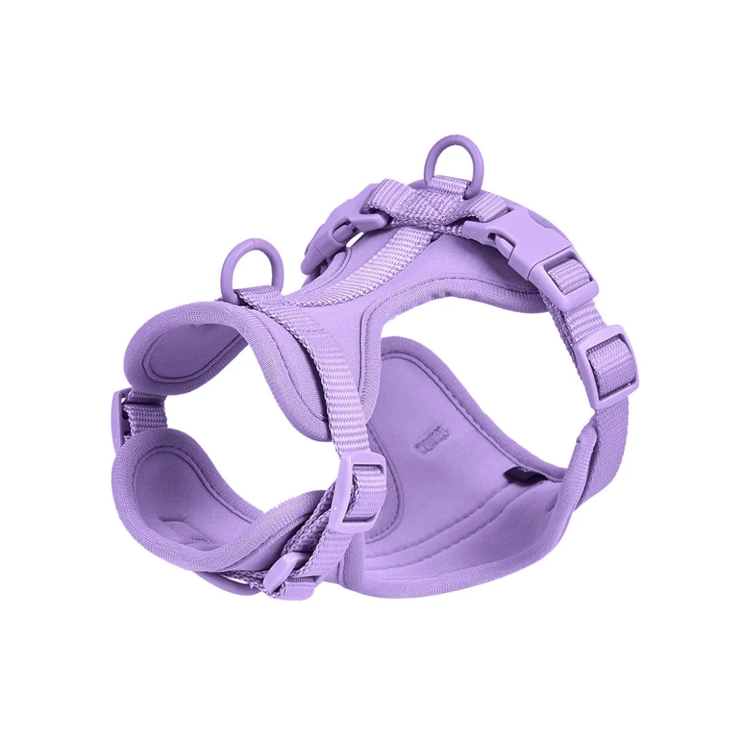 Walking Kit – Comfort and Control on Every Walk