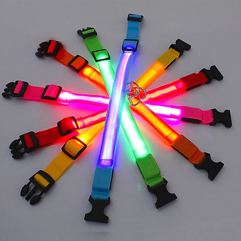 Glowing Pet Collar USB Rechargeable – Safety & Style for Nighttime Adventures