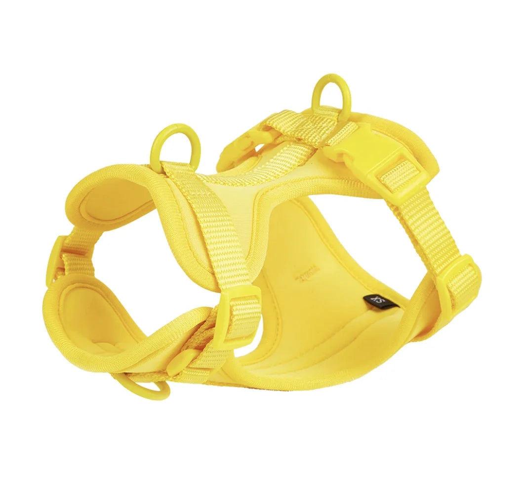 Walking Kit – Comfort and Control on Every Walk
