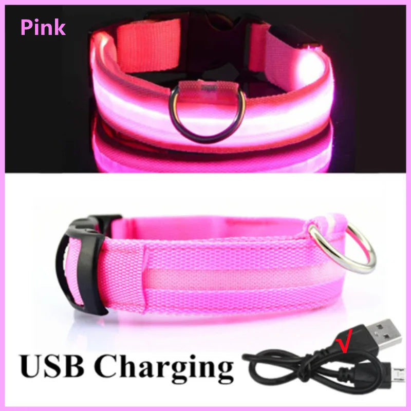 Glowing Pet Collar USB Rechargeable – Safety & Style for Nighttime Adventures