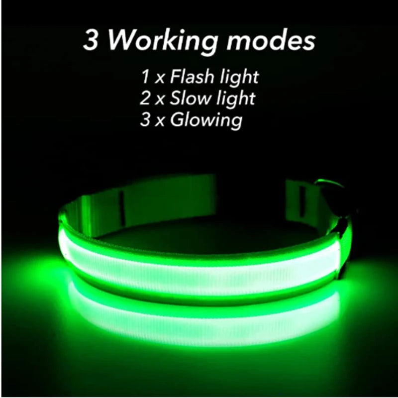 Glowing Pet Collar USB Rechargeable – Safety & Style for Nighttime Adventures