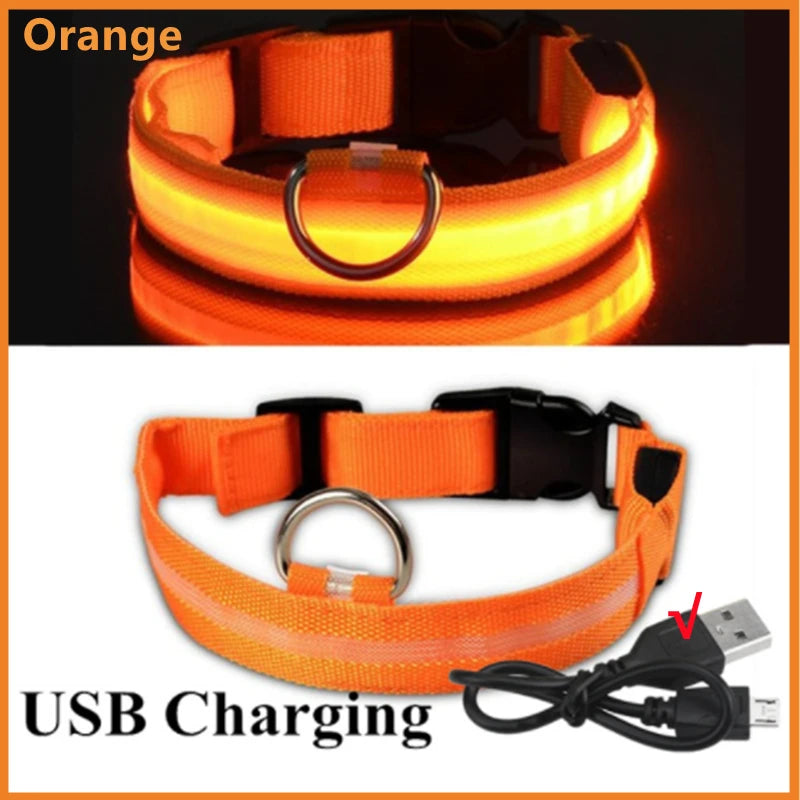 Glowing Pet Collar USB Rechargeable – Safety & Style for Nighttime Adventures