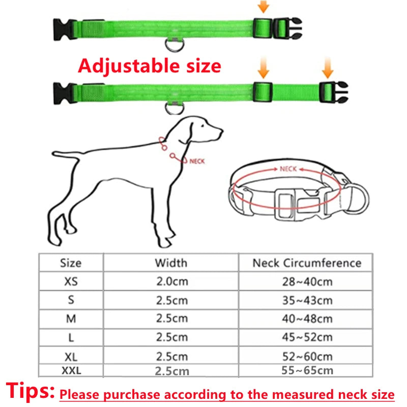 Glowing Pet Collar USB Rechargeable – Safety & Style for Nighttime Adventures