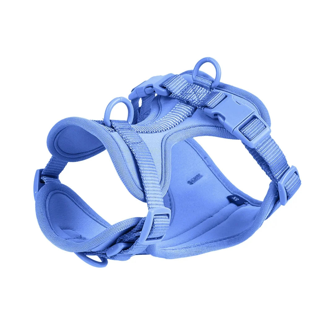 Walking Kit – Comfort and Control on Every Walk