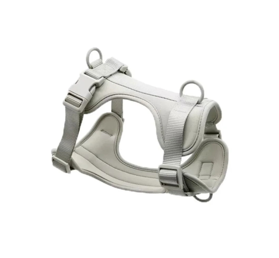 Walking Kit – Comfort and Control on Every Walk