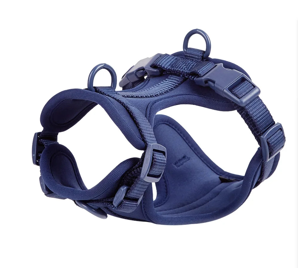 Walking Kit – Comfort and Control on Every Walk